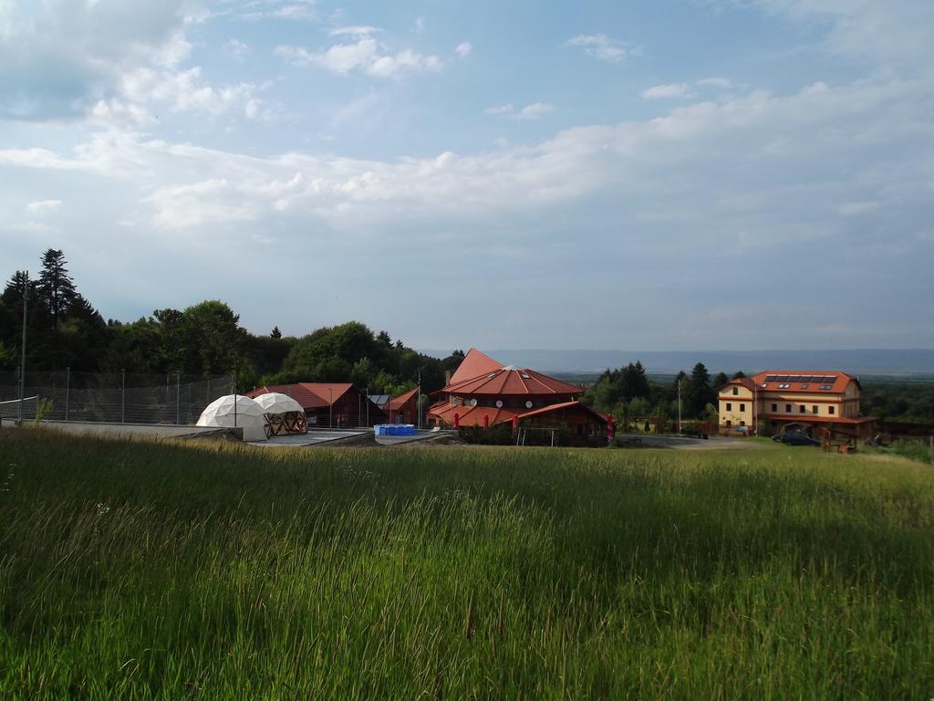 Pensiunea Casa Zmeilor Dragus Dış mekan fotoğraf