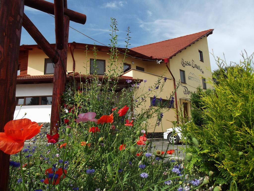 Pensiunea Casa Zmeilor Dragus Dış mekan fotoğraf